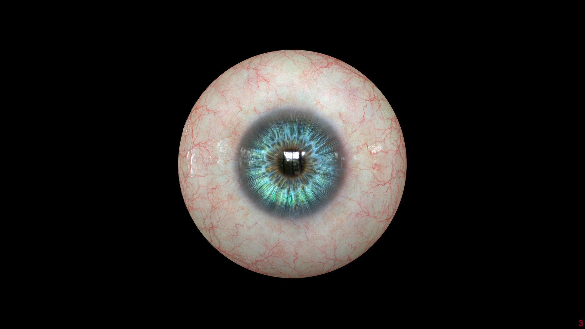 Eye Blue 1 Real-time 3D model 4k texture Marmoset Toolbag3 Maya FBX OBJ model https://p.turbosquid.com/ts-thumb/ye/uROmxB/do/screenshot215/png/1667294213/1920x1080/fit_q87/bfc60297df95d16bdd5600d24506966049394201/screenshot215.jpg