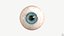 눈 파란색 1 실시간 3D 모델 4k 텍스처 Marmoset Toolbag3 Maya FBX OBJ