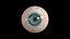 눈 파란색 1 실시간 3D 모델 4k 텍스처 Marmoset Toolbag3 Maya FBX OBJ