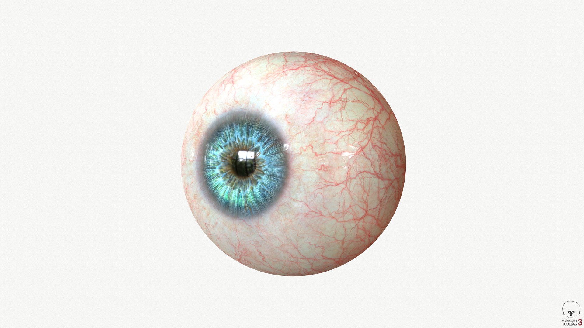 Eye Blue 1 Real-time 3D model 4k texture Marmoset Toolbag3 Maya FBX OBJ model https://p.turbosquid.com/ts-thumb/ye/uROmxB/pI/screenshot122/png/1667293652/1920x1080/fit_q87/62b24e7e246094896317b14ee0d1fa50fbf139a0/screenshot122.jpg