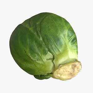 Brussels Sprout 2
