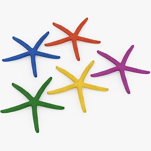 Painted Finger Starfish