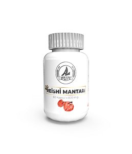 Medicine Pill Bottle 3D Model