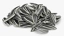 Striped Sunflower Seeds Pile