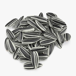 striped sunflower seeds pile 3D model