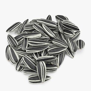 Striped Sunflower Seeds Pile