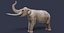 Sinomastodon hanjiangensis