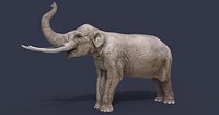 Sinomastodon hanjiangensis