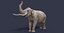 Sinomastodon hanjiangensis