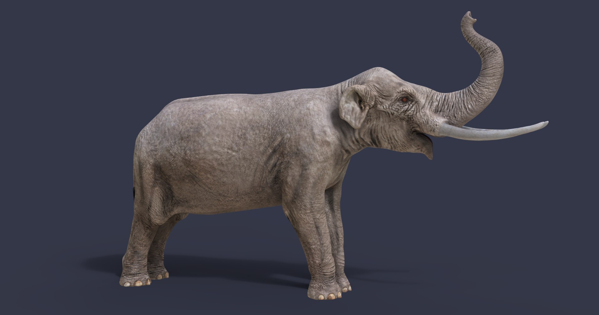 sinomastodon mastodon 3D model https://p.turbosquid.com/ts-thumb/yf/DTONVQ/WIw5mAq0/1.113/png/1604172198/1920x1080/fit_q87/93dba637c7b24513b6f87c59af8f481a05d9c8c8/1.113.jpg