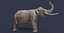 Sinomastodon hanjiangensis