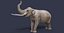 Sinomastodon hanjiangensis
