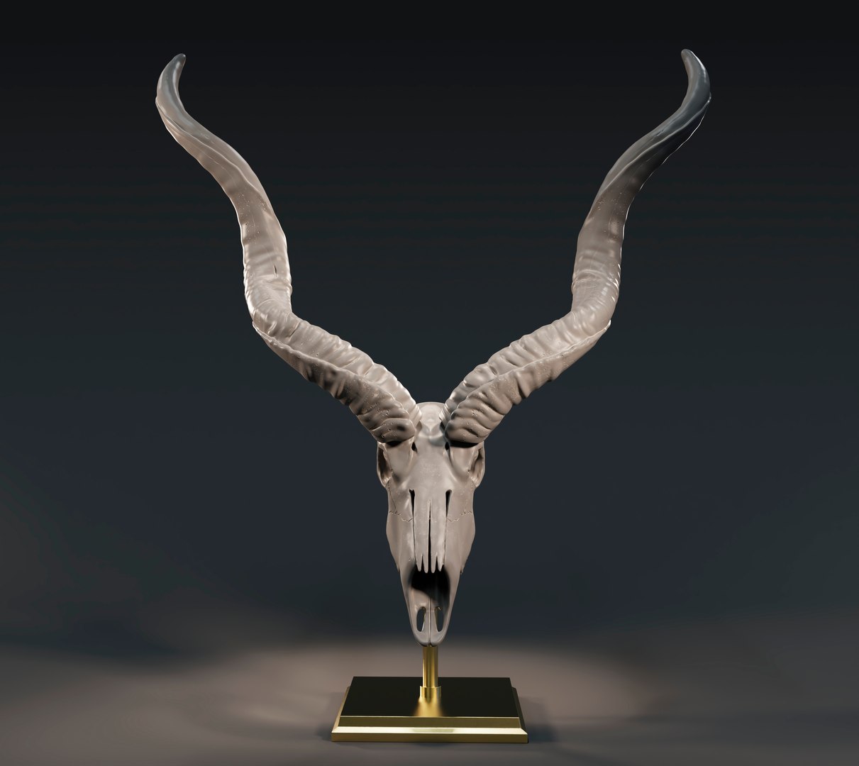 3D Kudu skull with stand and wall maunt 3D print model model https://p.turbosquid.com/ts-thumb/yf/ENWdcr/5y/5/jpg/1750682267/1920x1080/fit_q87/3cb754053ac6872bd97912508f6fdfd21f853333/5.jpg