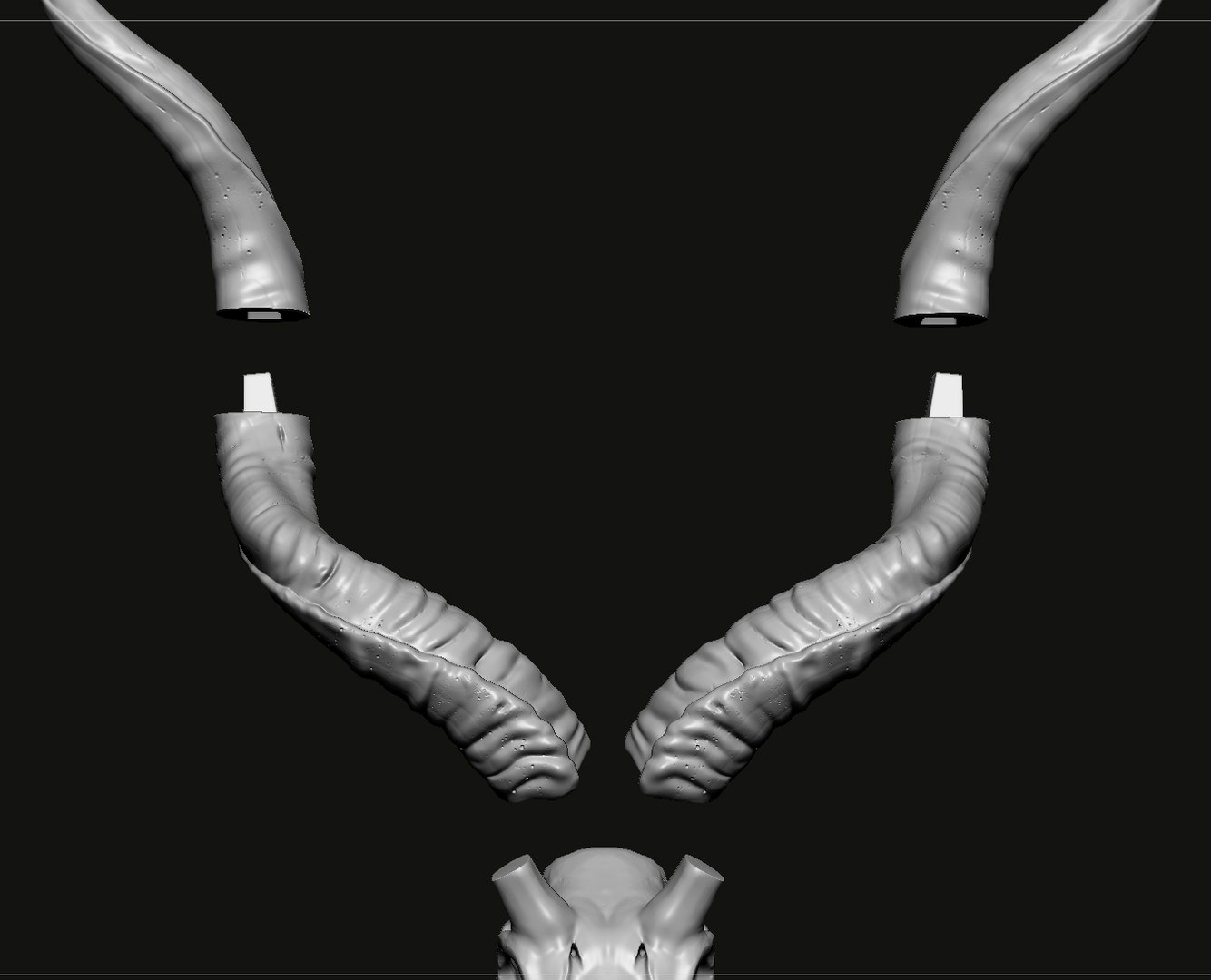 3D Kudu skull with stand and wall maunt 3D print model model https://p.turbosquid.com/ts-thumb/yf/ENWdcr/7N/13/jpg/1750682270/1920x1080/fit_q87/b5b533ccd70b8db8f7cb65368f467cf04a9a1ea7/13.jpg