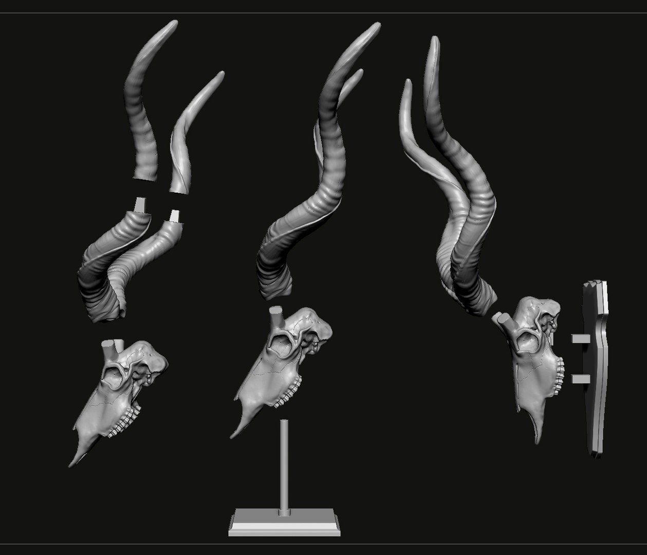 3D Kudu skull with stand and wall maunt 3D print model model https://p.turbosquid.com/ts-thumb/yf/ENWdcr/Qh/3/jpg/1750682263/1920x1080/fit_q87/c4cc5e26cf6402bce529289698019cff4804d659/3.jpg