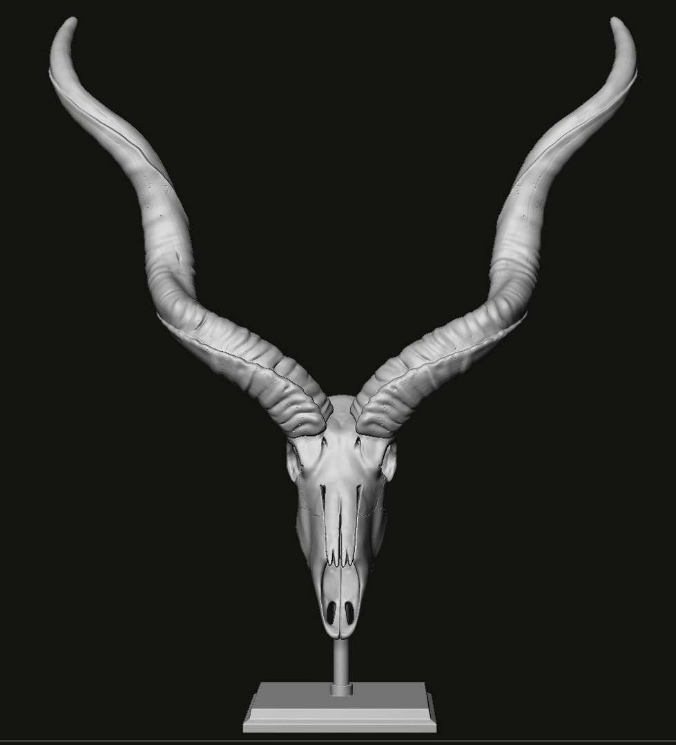 3D Kudu skull with stand and wall maunt 3D print model model https://p.turbosquid.com/ts-thumb/yf/ENWdcr/Zj/14/jpg/1750682270/1920x1080/fit_q87/d9551de614cec3aaac0445b8bf4acf046264520c/14.jpg