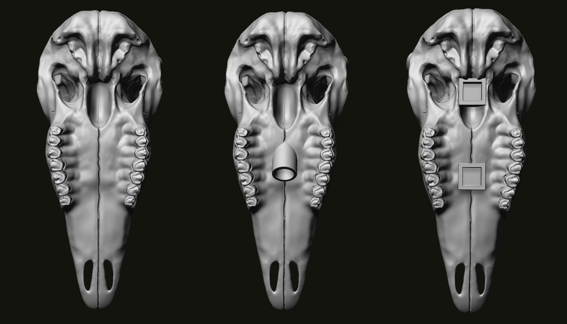 3D Kudu skull with stand and wall maunt 3D print model model https://p.turbosquid.com/ts-thumb/yf/ENWdcr/e5/4/jpg/1750682264/1920x1080/fit_q87/e779c89e813fce271616776660d2440f6b28af39/4.jpg