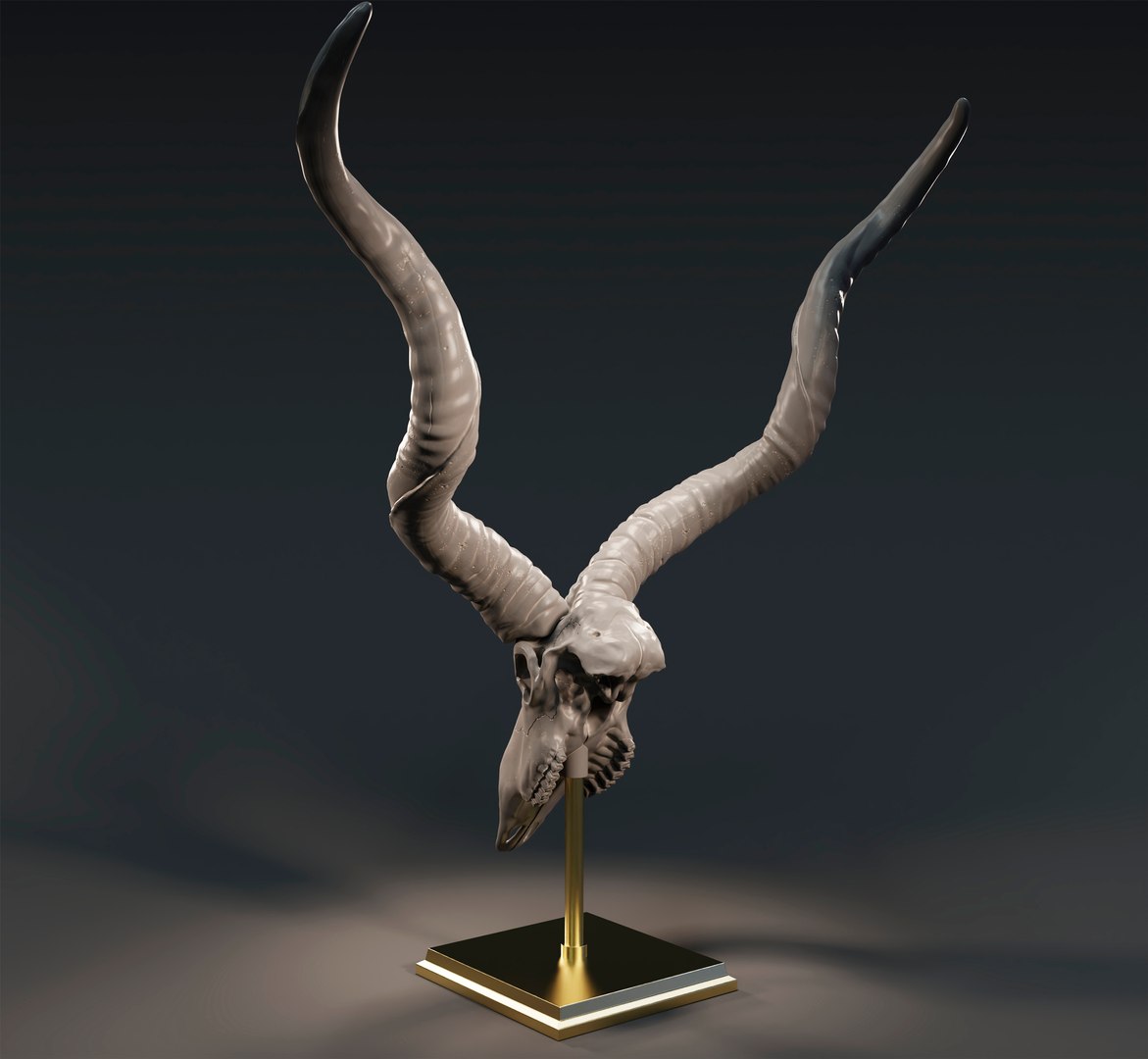 3D Kudu skull with stand and wall maunt 3D print model model https://p.turbosquid.com/ts-thumb/yf/ENWdcr/qL/6/jpg/1750682266/1920x1080/fit_q87/242f171883a100e585ff1adcb437554beb5867a1/6.jpg