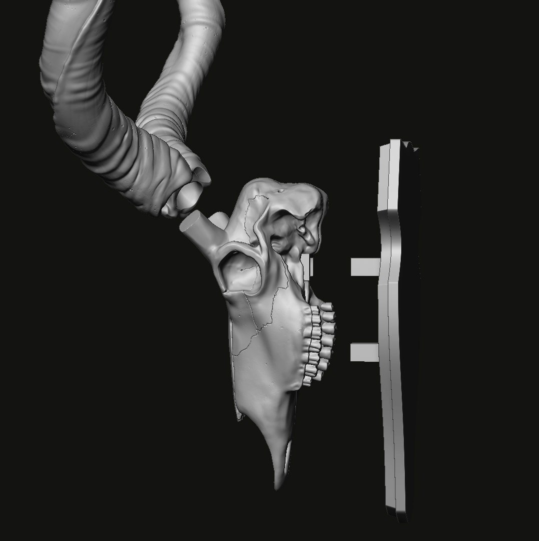 3D Kudu skull with stand and wall maunt 3D print model model https://p.turbosquid.com/ts-thumb/yf/ENWdcr/vF/19/jpg/1750682273/1920x1080/fit_q87/9772c7e8a7038a0dc1af7cea66f9cb13269f83b2/19.jpg
