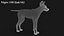 Wild Dog XGen 3D model