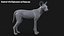 Wild Dog XGen 3D model