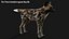 Wild Dog XGen 3D model