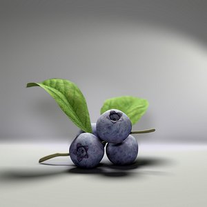 3d blueberry berry