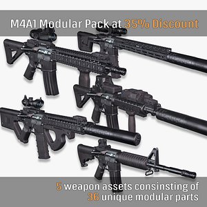 M4A1 Custom Modular Bundle 01