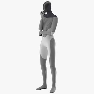 Robotic Humanoid Standing Pose