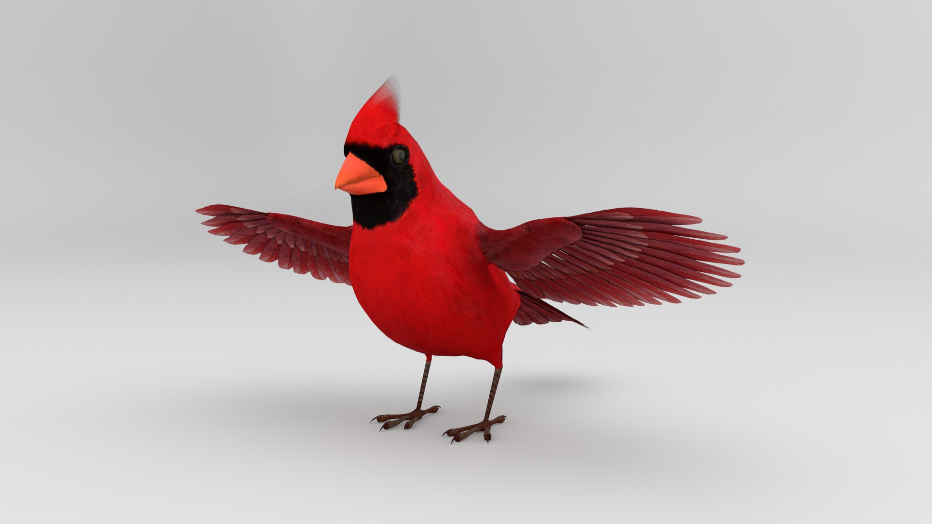 3D 3D Bird Pack Northern Cardinal Male and Female - TurboSquid 1856277