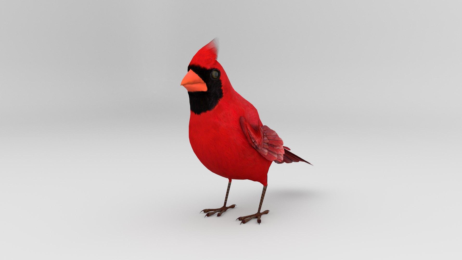 3D 3D Bird Pack Northern Cardinal Male and Female - TurboSquid 1856277
