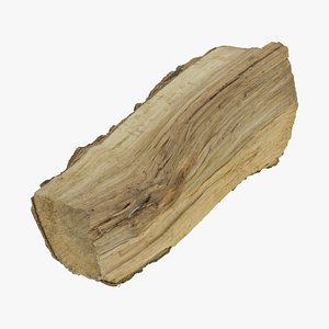 wooden log 01 raw 3D