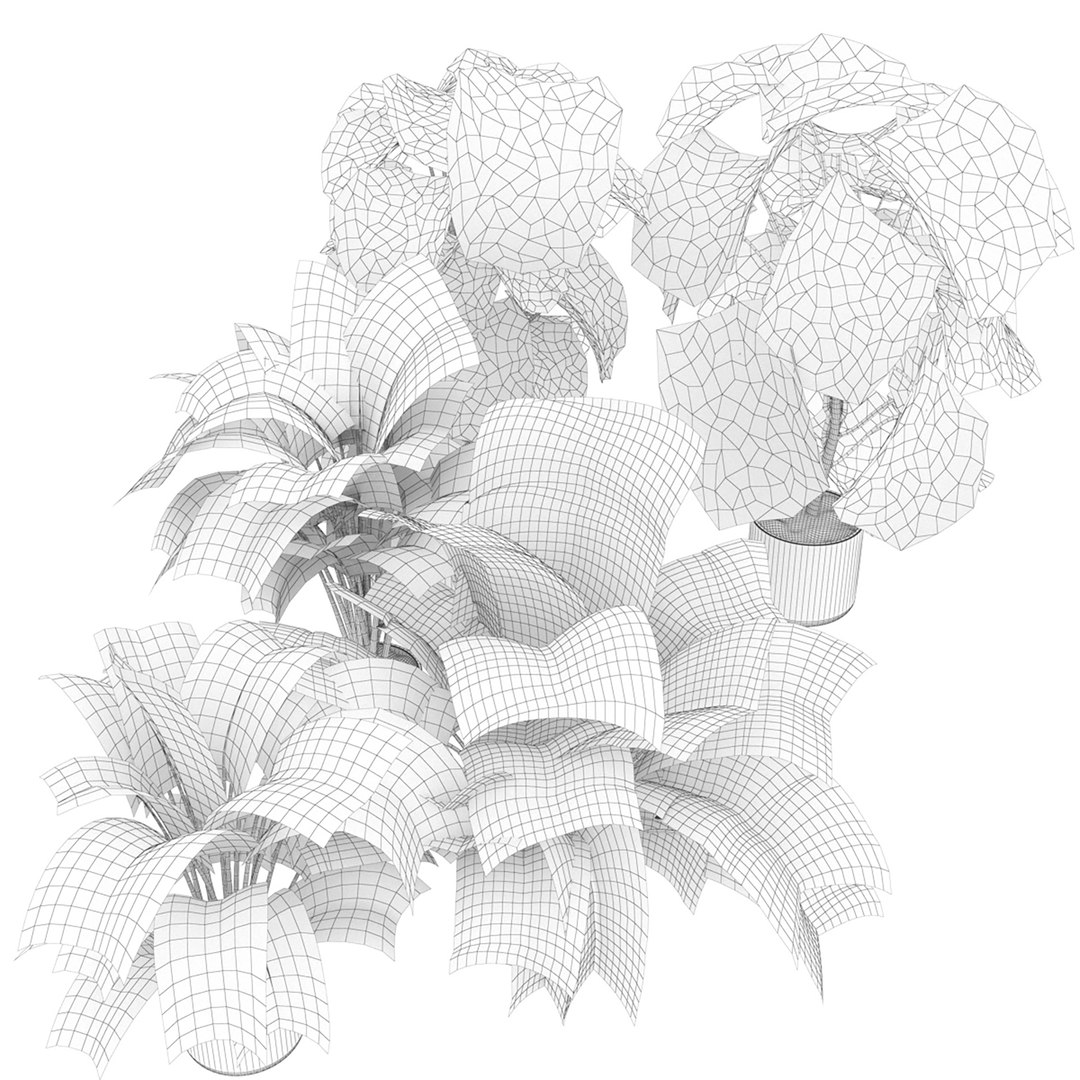 Collection plant vol 334 - indoor - monstera - cinema 4d - 3dmax - blender 3D model https://p.turbosquid.com/ts-thumb/yg/FJUovS/Rk/untitled3_0006_7.jpg/jpg/1652707062/1920x1080/fit_q87/869f2863768562aca818fa0a15ce245096674f13/untitled3_0006_7.jpg.jpg