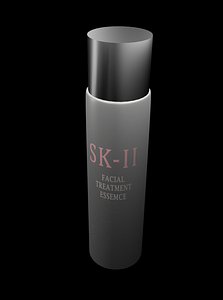 3D model skii