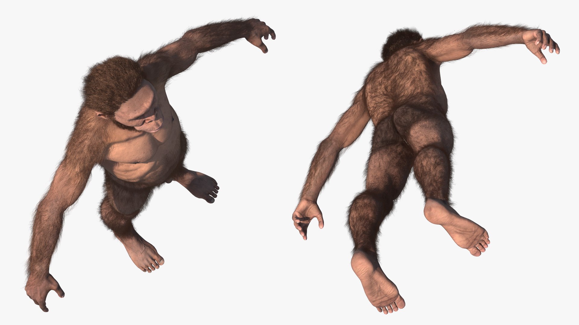 3D model Homo Habilis Fur https://p.turbosquid.com/ts-thumb/yg/PrczQF/0s/homohabilisfur3dsmodel015/jpg/1704933849/1920x1080/fit_q87/15e7da8e7d2c10210902ac04a48d14edbf87264e/homohabilisfur3dsmodel015.jpg