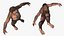 Homo Habilis Fell