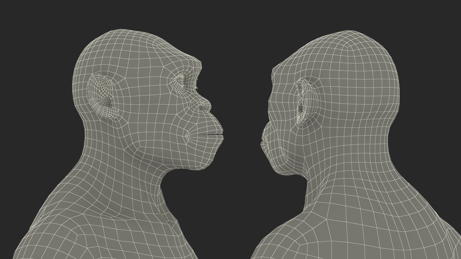 3D model Homo Habilis Fur https://p.turbosquid.com/ts-thumb/yg/PrczQF/4a/homohabilisfur3dsmodel024/jpg/1704933887/1920x1080/fit_q87/db4078d378d0b5e92b9de4c578ec7a84cfa3cde8/homohabilisfur3dsmodel024.jpg