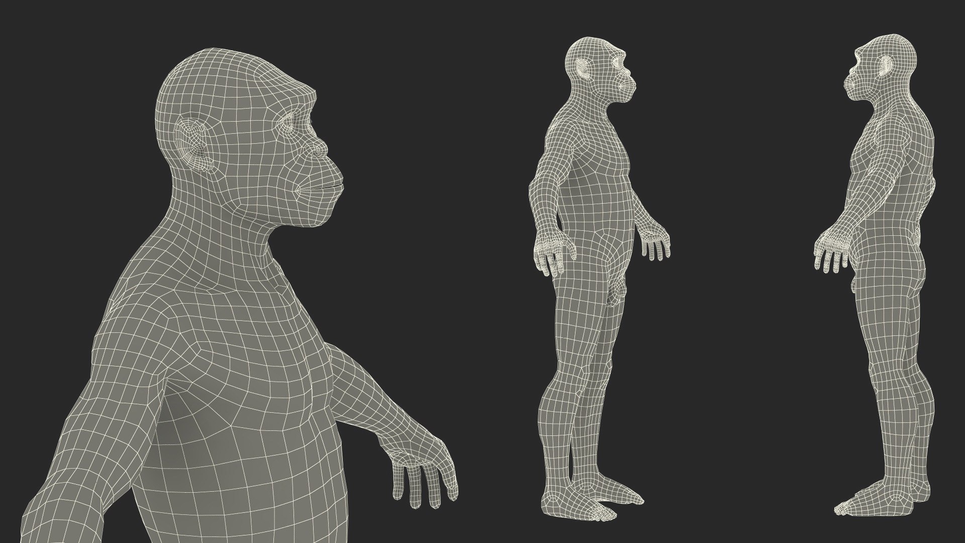3D model Homo Habilis Fur https://p.turbosquid.com/ts-thumb/yg/PrczQF/4b/homohabilisfur3dsmodel022/jpg/1704933878/1920x1080/fit_q87/f8c8d671dc7d0300fc2b571ae744b6069f649490/homohabilisfur3dsmodel022.jpg
