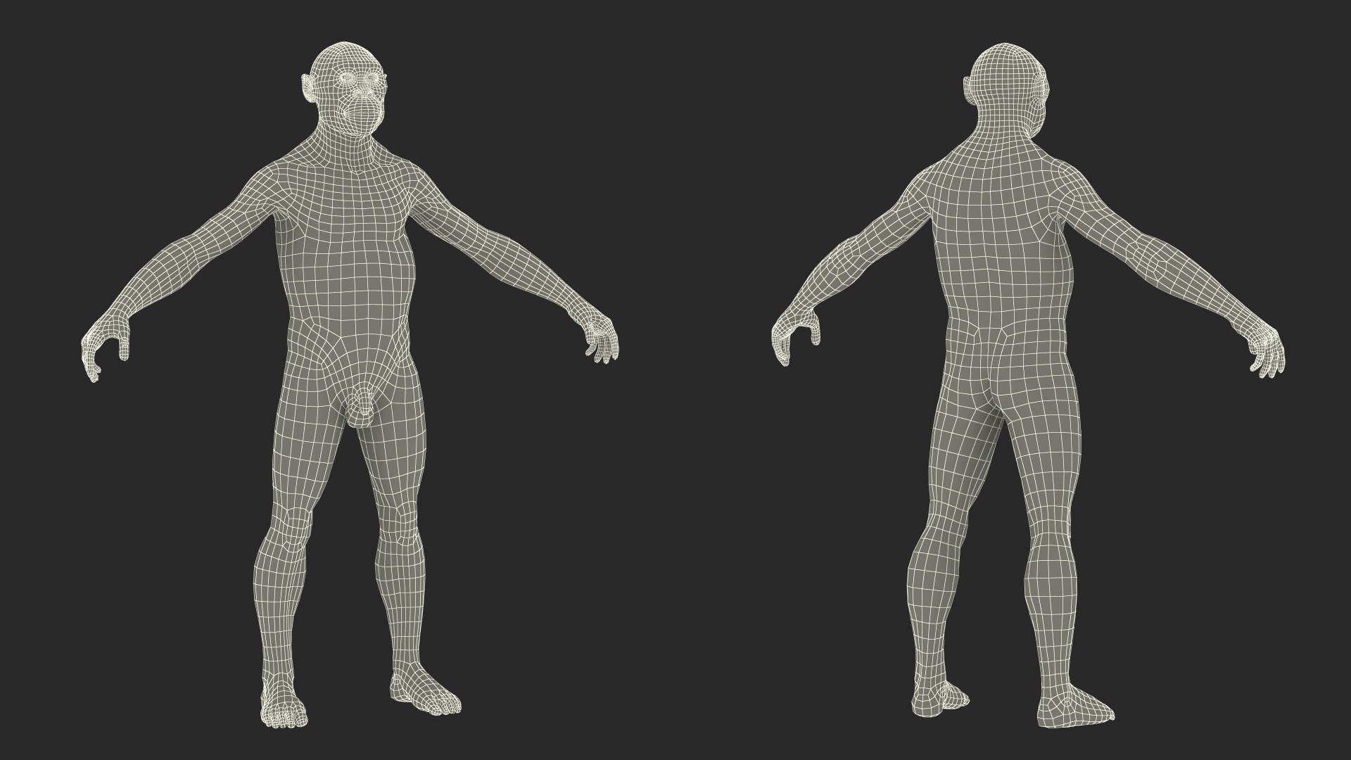 3D model Homo Habilis Fur https://p.turbosquid.com/ts-thumb/yg/PrczQF/6r/homohabilisfur3dsmodel021/jpg/1704933874/1920x1080/fit_q87/45ea966274d59ef1d4194172651c0dfda60667a3/homohabilisfur3dsmodel021.jpg