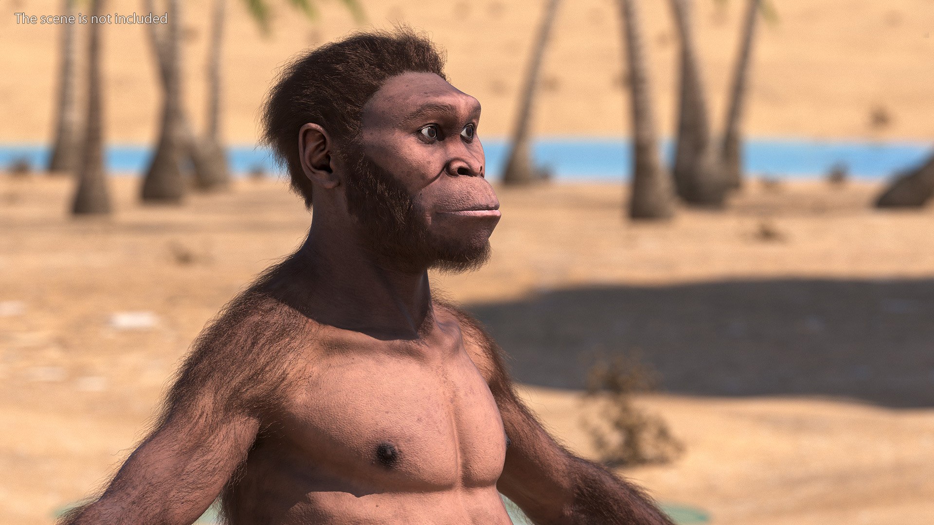 3D model Homo Habilis Fur https://p.turbosquid.com/ts-thumb/yg/PrczQF/NA/homohabilisfur3dsmodel006/jpg/1704933797/1920x1080/fit_q87/23f00472365132e49cc78d670c1e2c1da07975db/homohabilisfur3dsmodel006.jpg