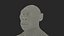 Homo Habilis Fell