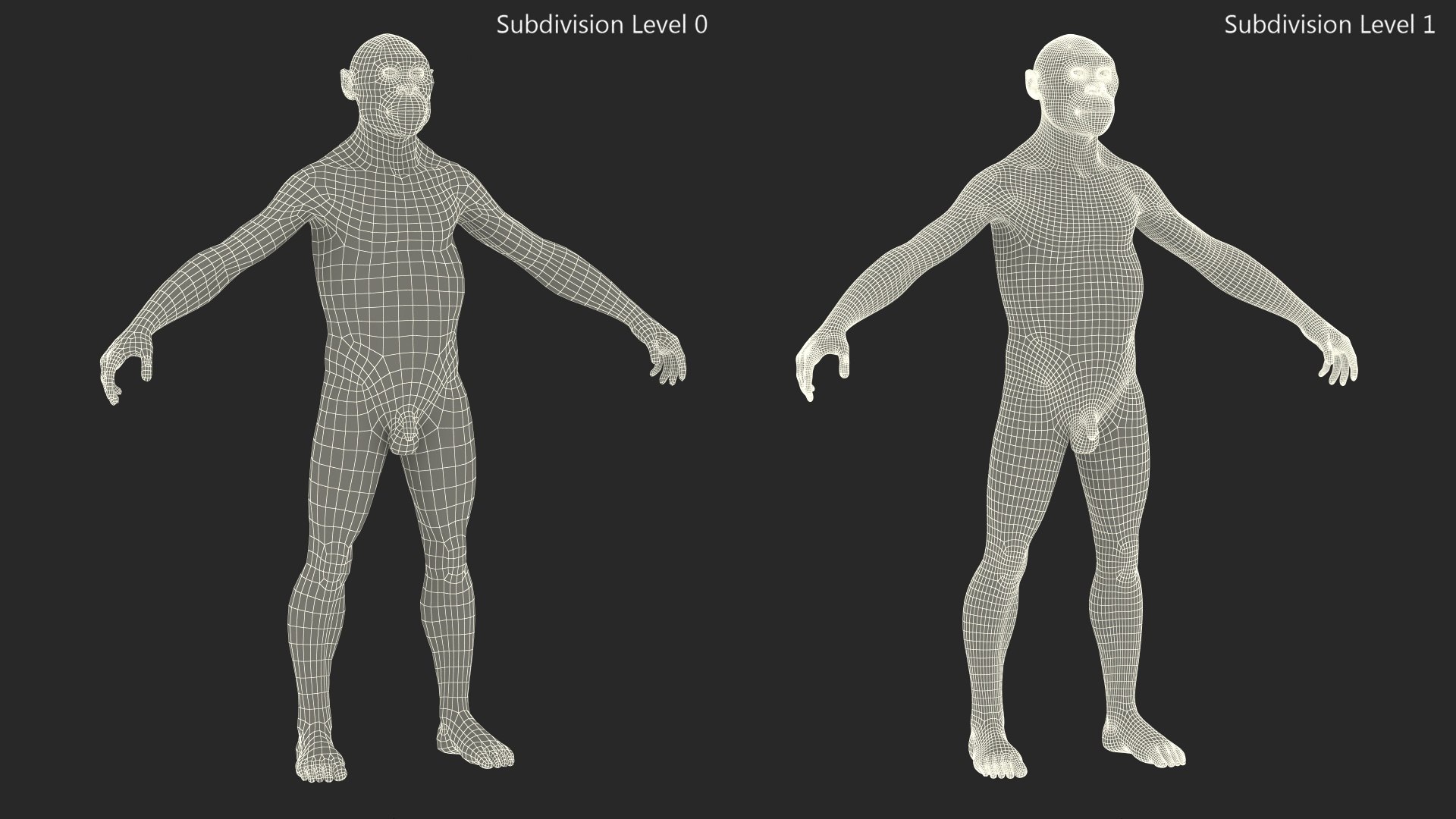 3D model Homo Habilis Fur https://p.turbosquid.com/ts-thumb/yg/PrczQF/Ts/homohabilisfur3dsmodel017/jpg/1704933858/1920x1080/fit_q87/62e8816371494bb5a29f61809d57f96ca5539823/homohabilisfur3dsmodel017.jpg