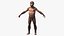 Homo Habilis Fell