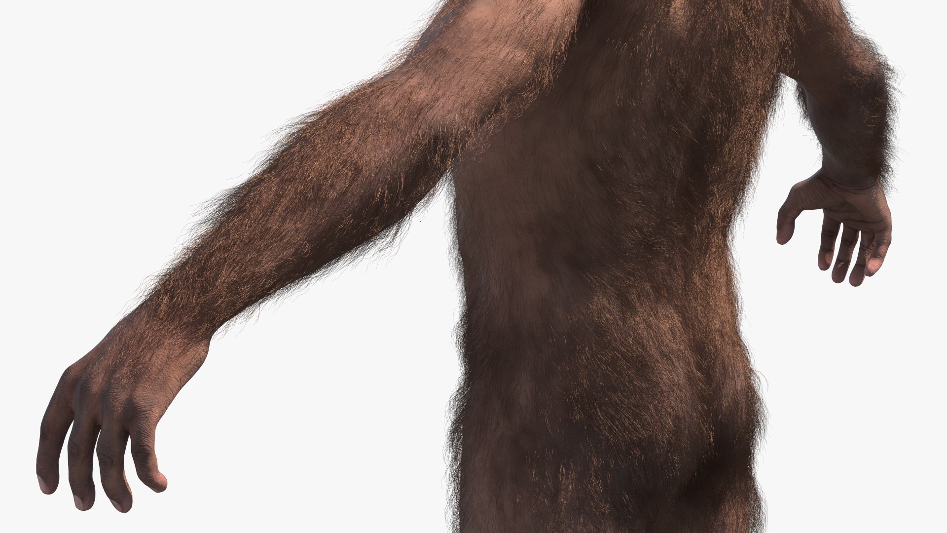 3D model Homo Habilis Fur https://p.turbosquid.com/ts-thumb/yg/PrczQF/eF/homohabilisfur3dsmodel013/jpg/1704933841/1920x1080/fit_q87/57843423ed2de88446220ae7410e7056bb490f21/homohabilisfur3dsmodel013.jpg