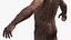 Homo Habilis Fell