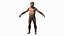 Homo Habilis Fell