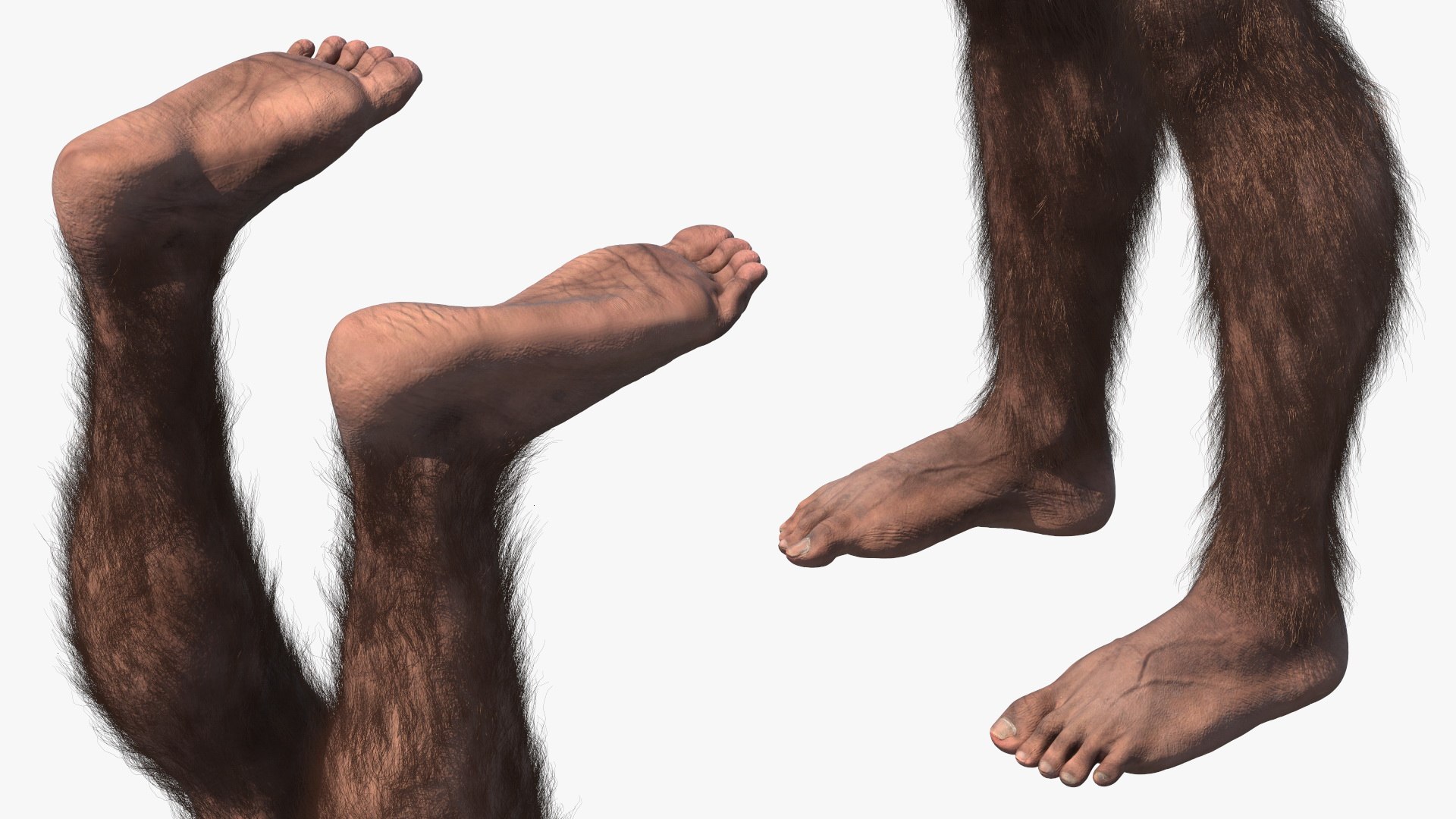 3D model Homo Habilis Fur https://p.turbosquid.com/ts-thumb/yg/PrczQF/ox/homohabilisfur3dsmodel014/jpg/1704933845/1920x1080/fit_q87/bde49bb2b2f3f0836575554ab24e03bd8a726669/homohabilisfur3dsmodel014.jpg