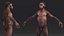 Homo Habilis Fell