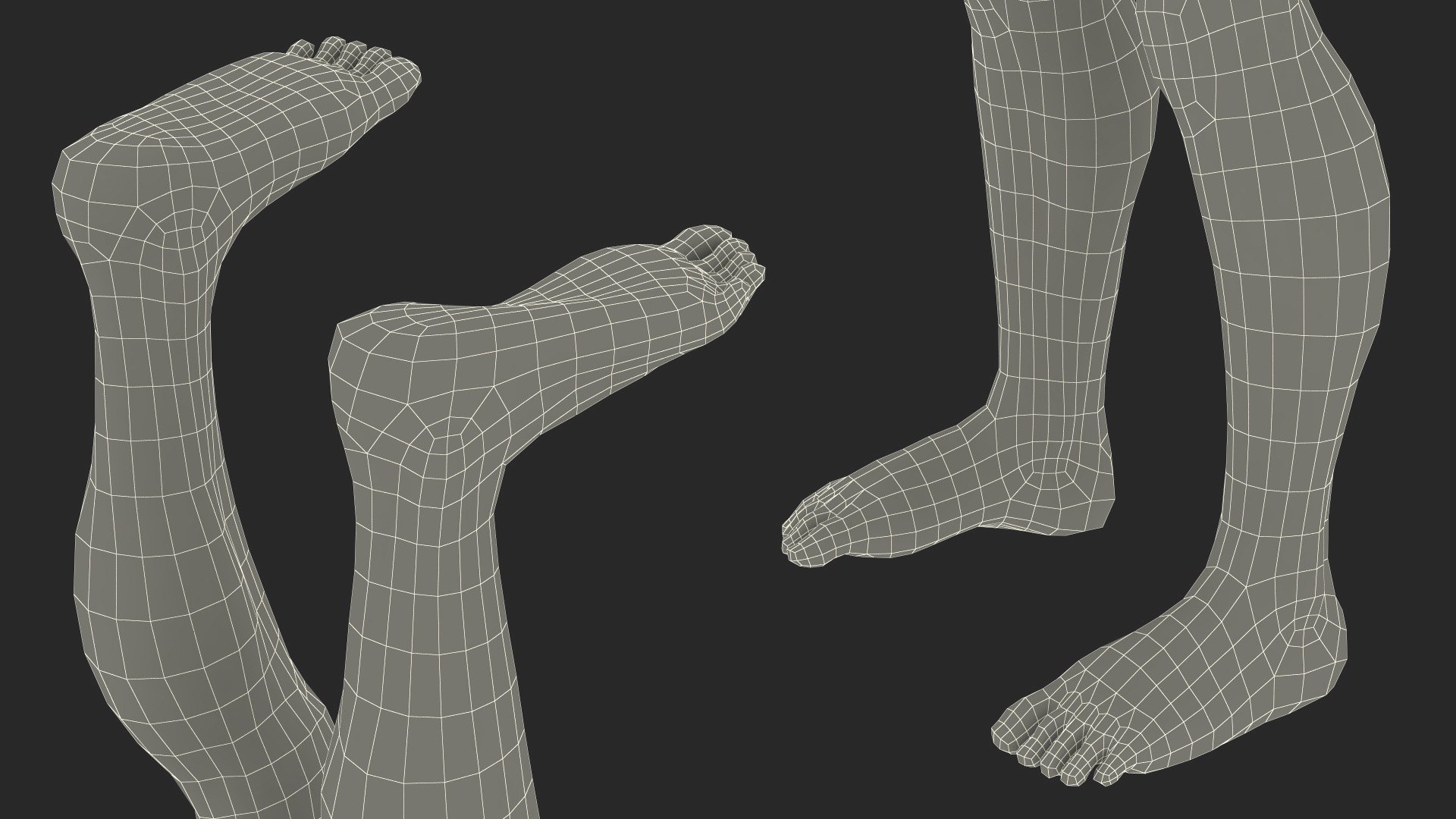 3D model Homo Habilis Fur https://p.turbosquid.com/ts-thumb/yg/PrczQF/qW/homohabilisfur3dsmodel026/jpg/1704933896/1920x1080/fit_q87/88febede73e50dc1d811eb2a4d800060fa8dcb0c/homohabilisfur3dsmodel026.jpg