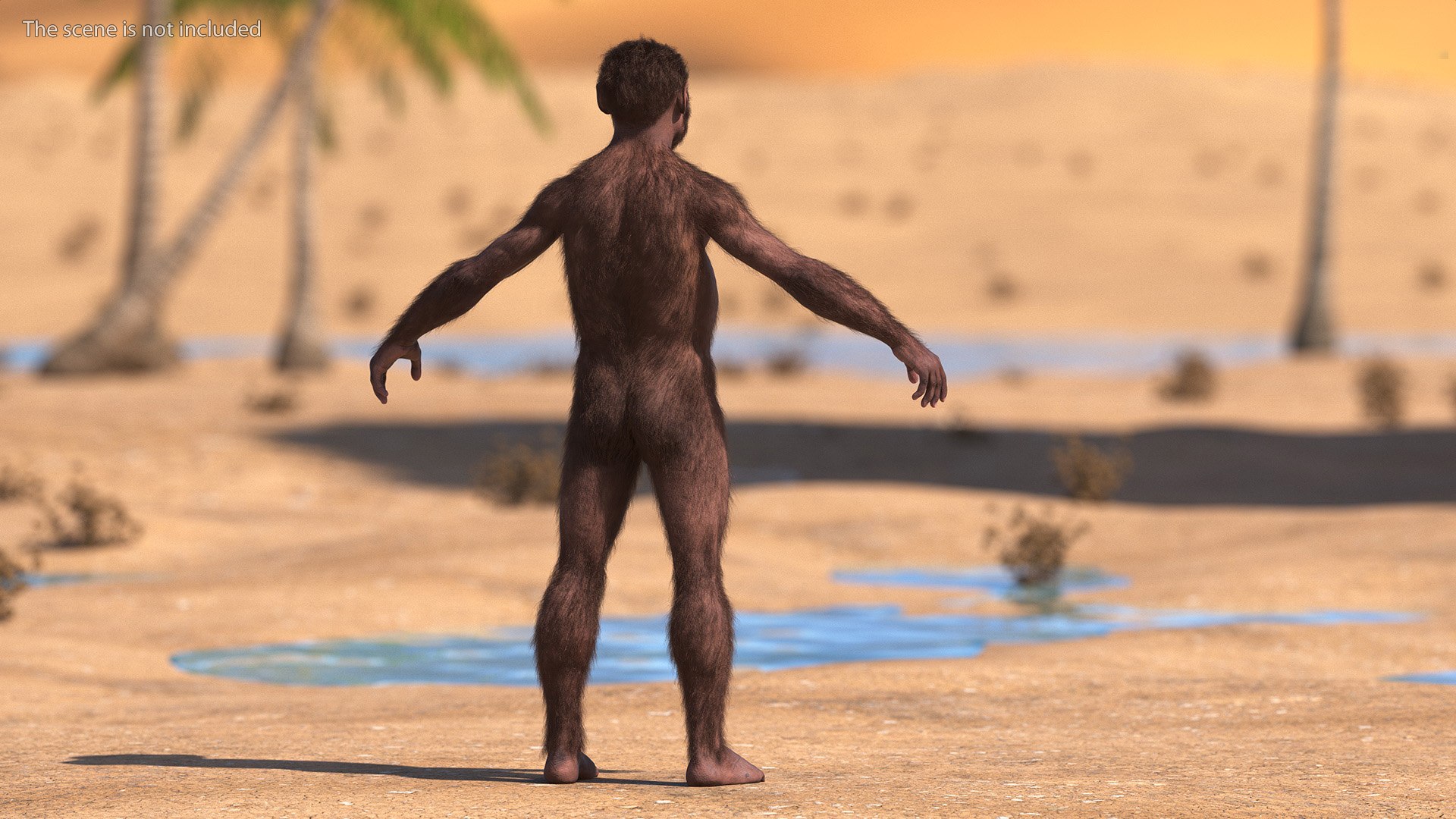 3D model Homo Habilis Fur https://p.turbosquid.com/ts-thumb/yg/PrczQF/yV/homohabilisfur3dsmodel004/jpg/1704933786/1920x1080/fit_q87/b8cf68b728652ef4bbea80715c0bfb4225fdbc63/homohabilisfur3dsmodel004.jpg